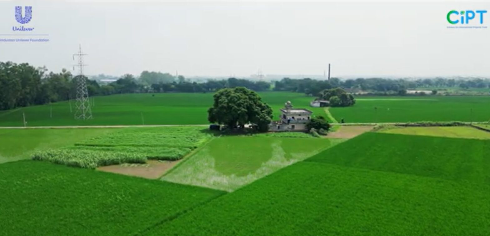 Lead Farmers
